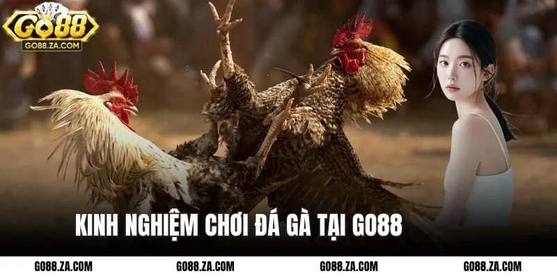 Kinh nghiệm khi chơi tại GO88